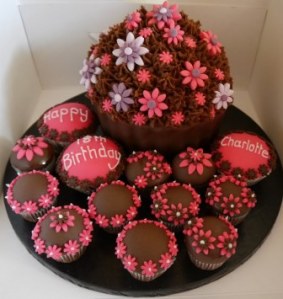 Giant Cupcake and mini cakes - Copy